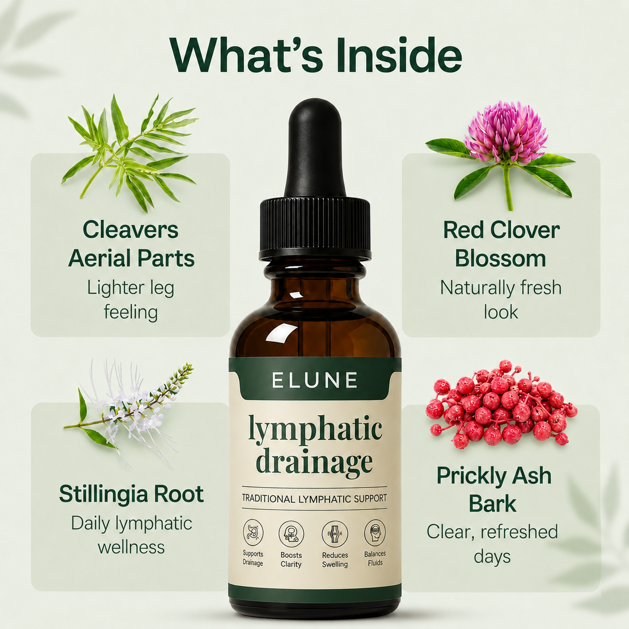 Elune® Lympathic Drainage Drops